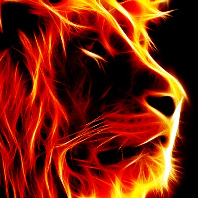 lion-fire-hd-wallpapers-for-desktop.jpg