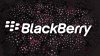blackberry-brands-629398.jpg