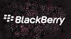 blackberry_1920x1080_531-hd.jpg