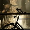 bicycle_bokeh-wallpaper-1024x1024.jpg