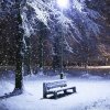 lone_bench_covered_in_snow-wallpaper-1024x1024.jpg