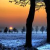 winter_landscape_with_orange_sky-wallpaper-1024x1024.jpg