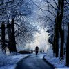 winter_road_scene-wallpaper-1024x1024.jpg